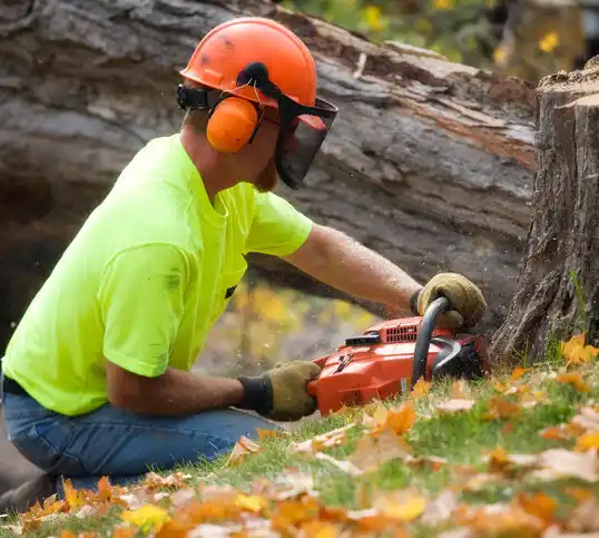 tree services Wanaque